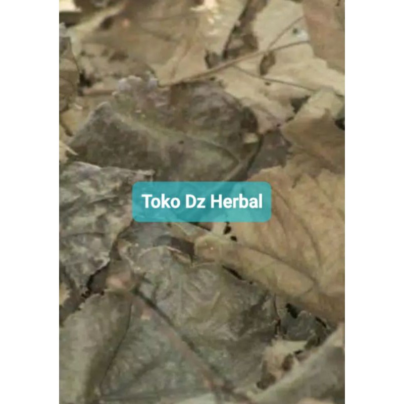 

Daun jati kering 500 gram kering natural-az