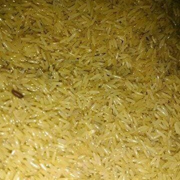(Packing Besek) CUCI GUDANG TELUR BIBIT JANGKRIK ALAM 1KG
