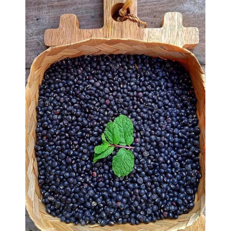 

Kacang Gudhe