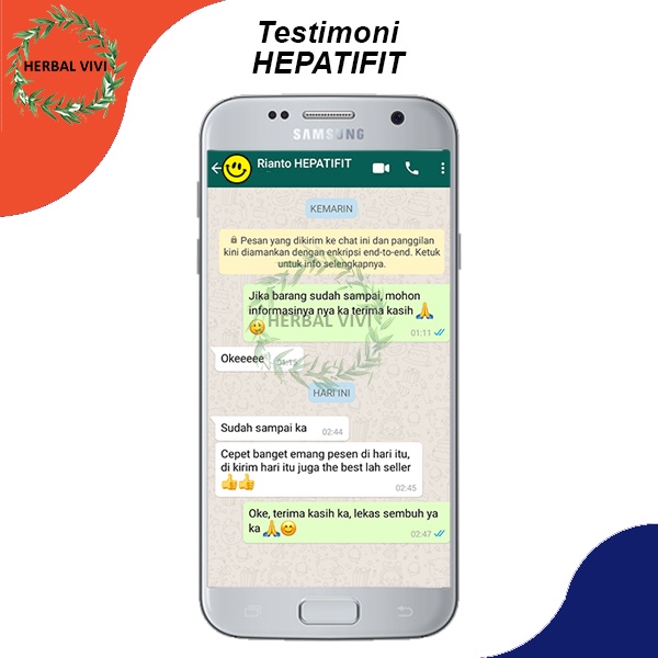 HEPATIFIT obat herbal batu empedu memperbaiki organ hati dan liver nyeri perut kanan dan pencernaan-4