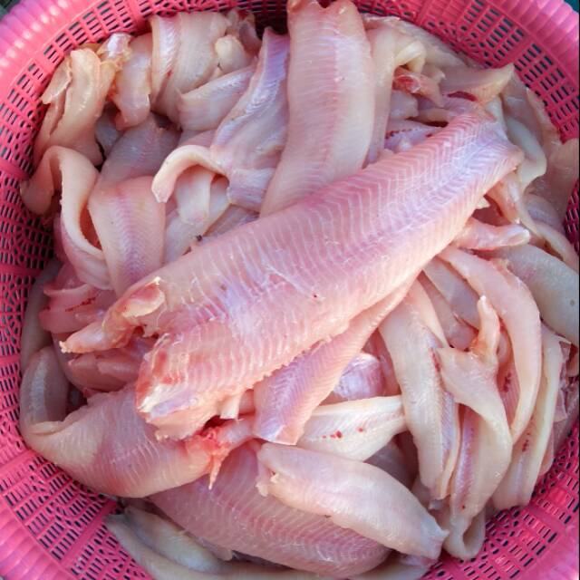 

Ikan gabus asli