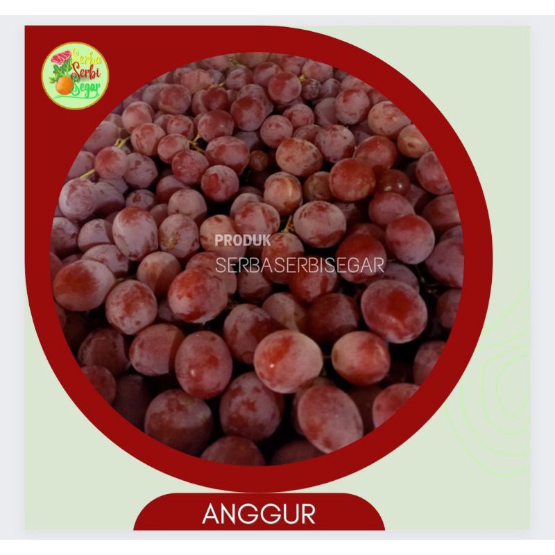 

ANGGUR MERAH IMPORT 500GRAM