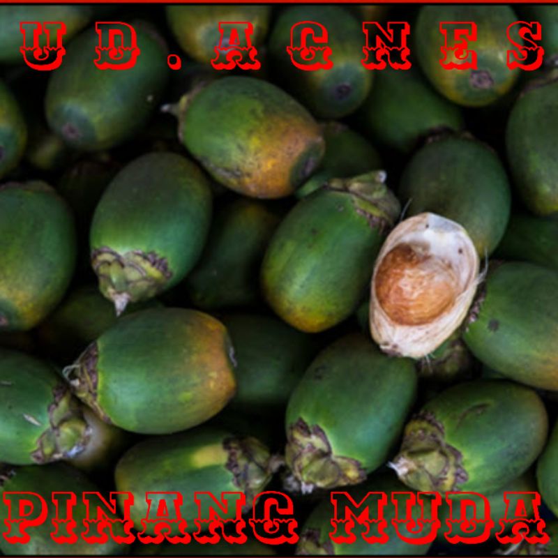 

PINANG / JAMBE MUDA 1 KG