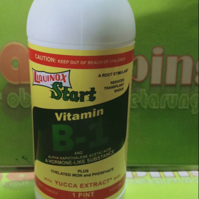 luquinox start 470ml vitamin b1 pupuk suplemen herbal tanaman
