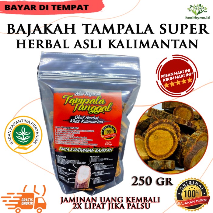 

Akar Kayu Bajakah Tunggal Tampala Super Asli Kalimantan 100% ORIGINAL - 250 GR