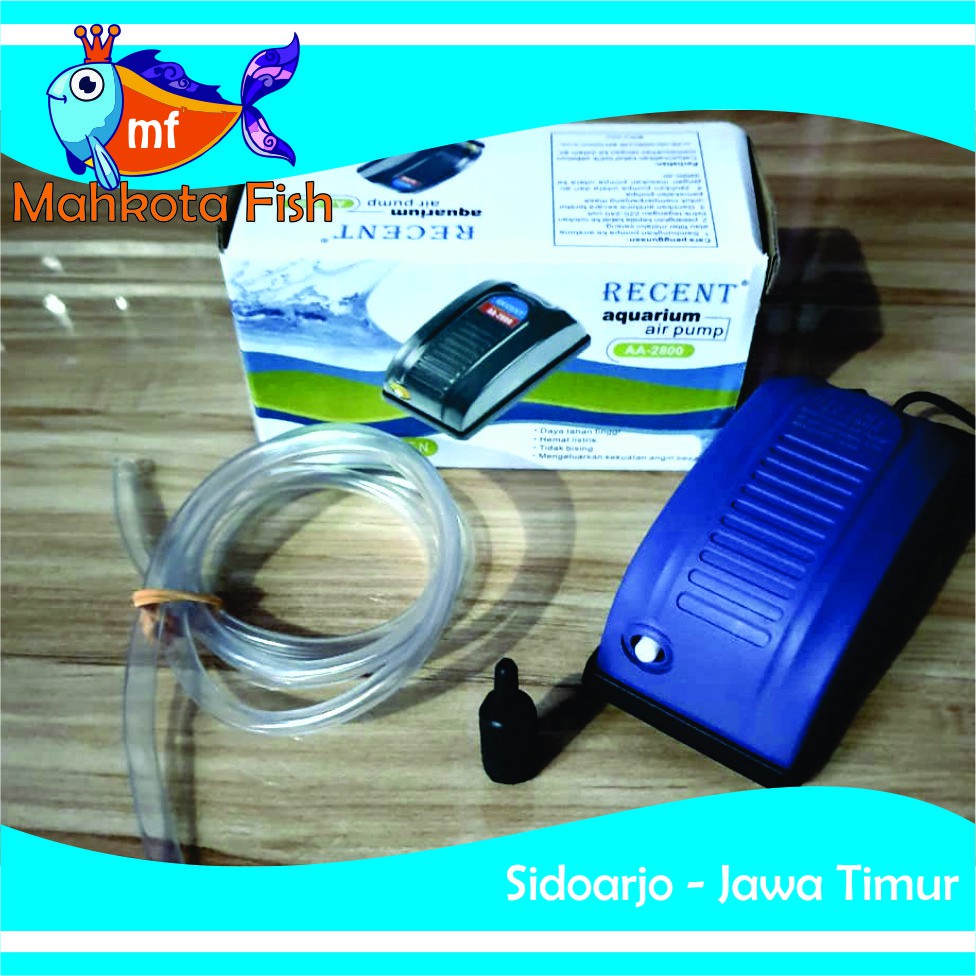 PAKET LENGKAP Aerator 1 Lubang | Air Pump Aquarium | Mesin Airator (GRATIS Buble Wrap)