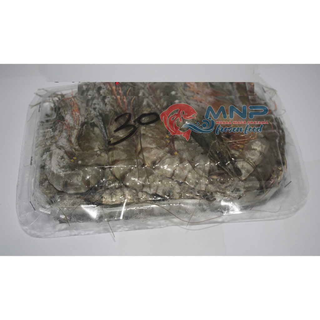 

Udang Windu 30 Fresh Frozen