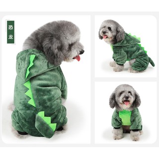 green sweater doggy