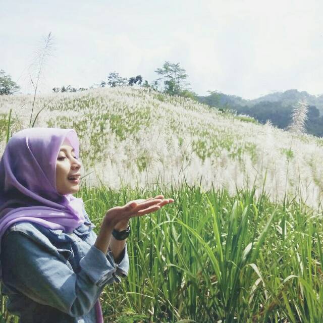 yuanita_ambarsari