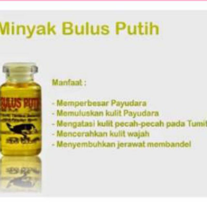 PROMO MURAH [BISA COD] Minyak Bulus Putih Herbal Original 100% Perbesar Payudara  &amp; Mencerahkan