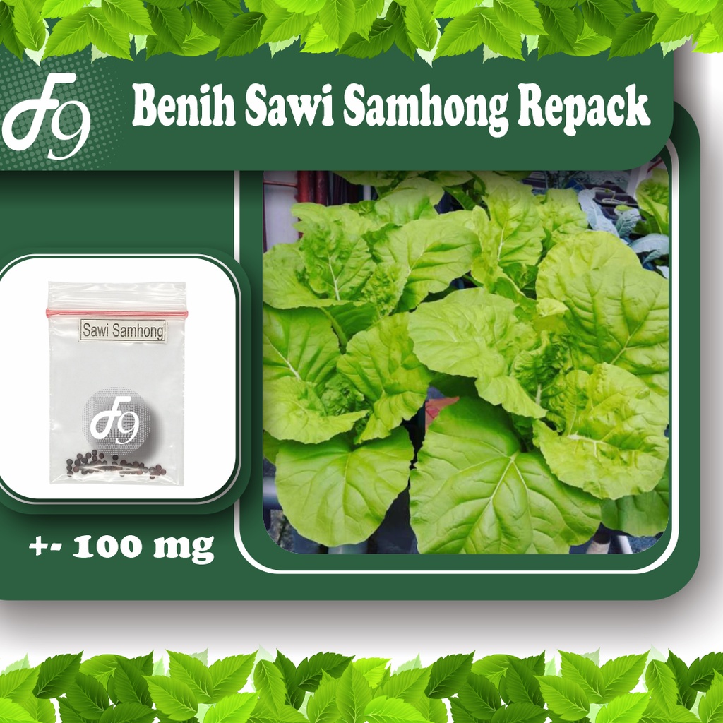 Benih BIbit Sawi Samhong Murah Repack Seribuan