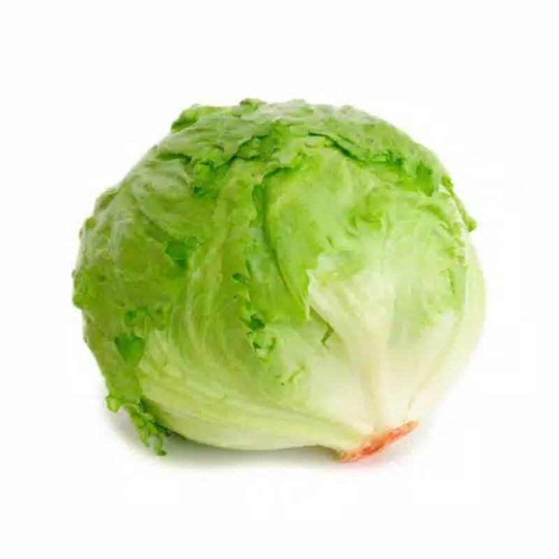Lettuce Head / Letus / Sayur lettuce / Per Pcs