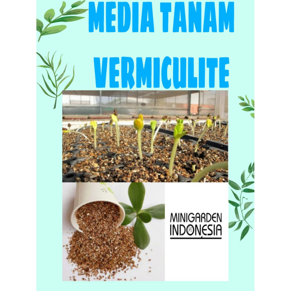 MEDIA TANAM HIDROPONIK VERMICULITE 100 GRAM IMPORT EROPA 3 - 8 mm media sekulen kaktus telur reptil