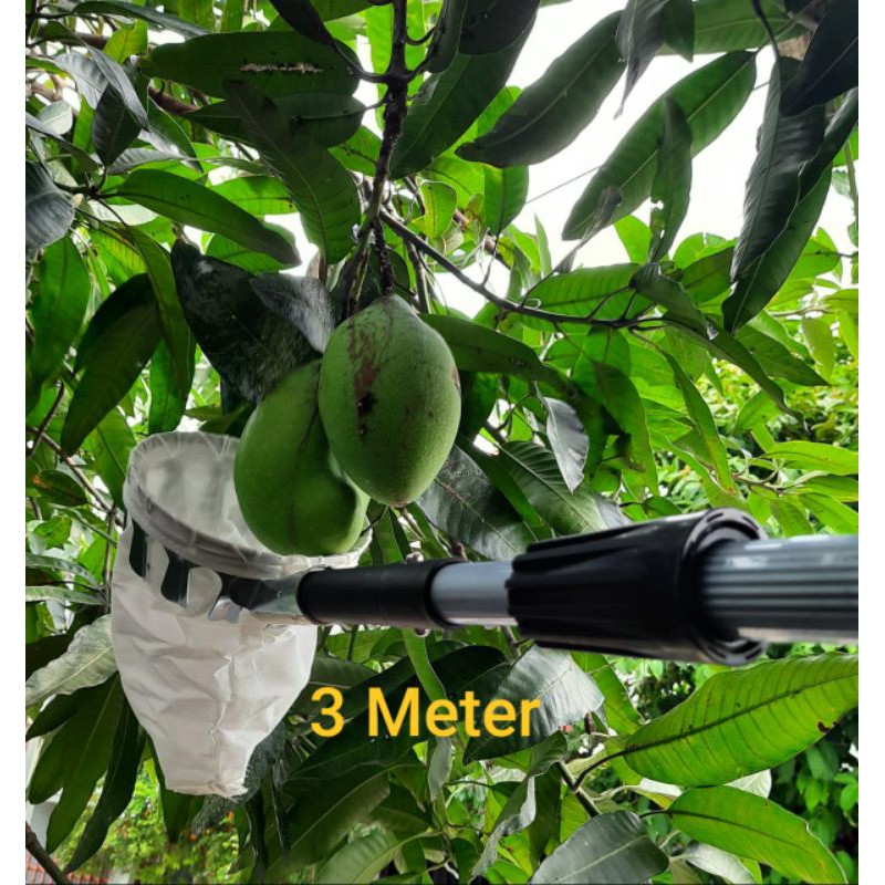 Galah Petik Buah di ketinggian