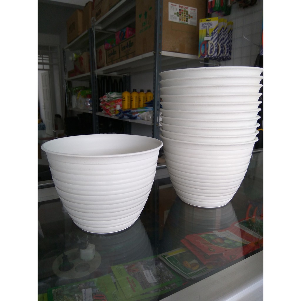  Pot  Tanaman dan Bunga  Plastik  Putih Tawon 15 cm Shopee  