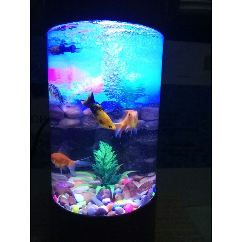 AKUARIUM AQUASCAPE TABUNG AKRILIK LENGKAP MESIN FILTER LAMPU DAN TANAMAN