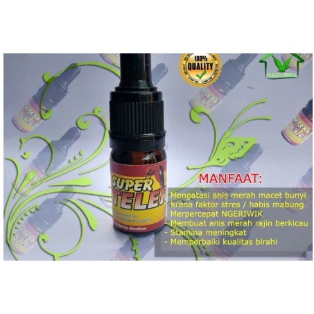 Super Teler Formula AM - Vitamin Dan Obat Anis Merah Macet Terlaris