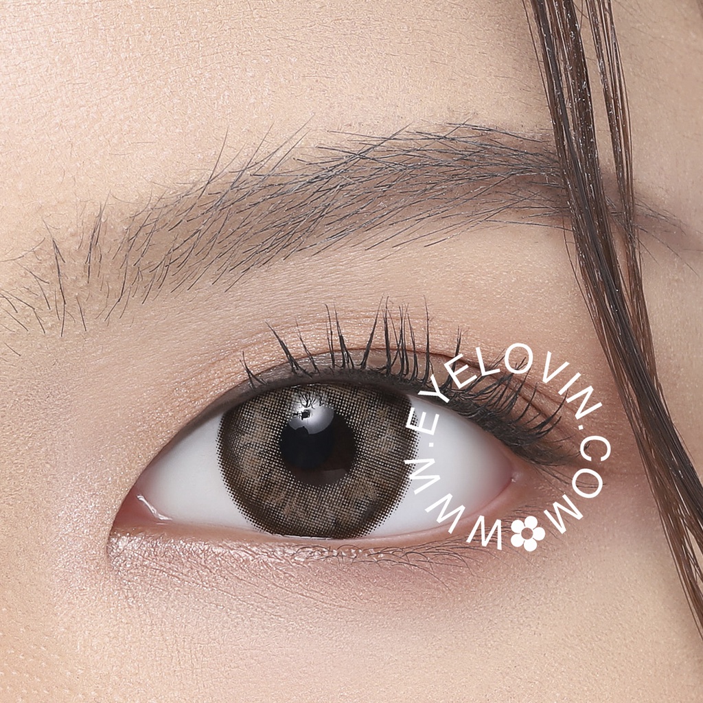 EYELOVIN Softlens Aria - Irish Brown