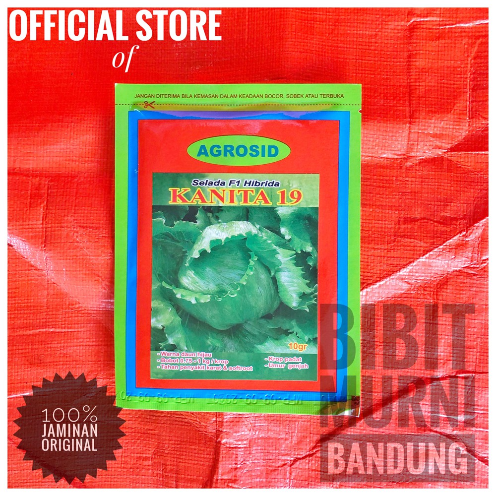 BENIH BIBIT SELADA KOL KANITA 19 HEAD LETTUCE 10 GRAM ORIGINAL PACK