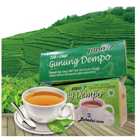 

TEH CELUP GUNUNG DEMPO KUALITAS EKSPOR @25 KANTONG ARD