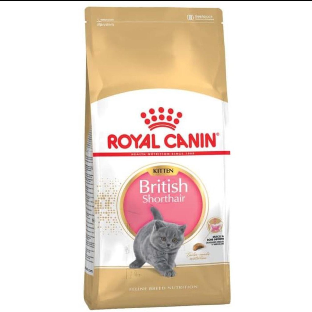 Royal Canin Kitten British Short Hair 400gr Makanan Kering Anak Kucing