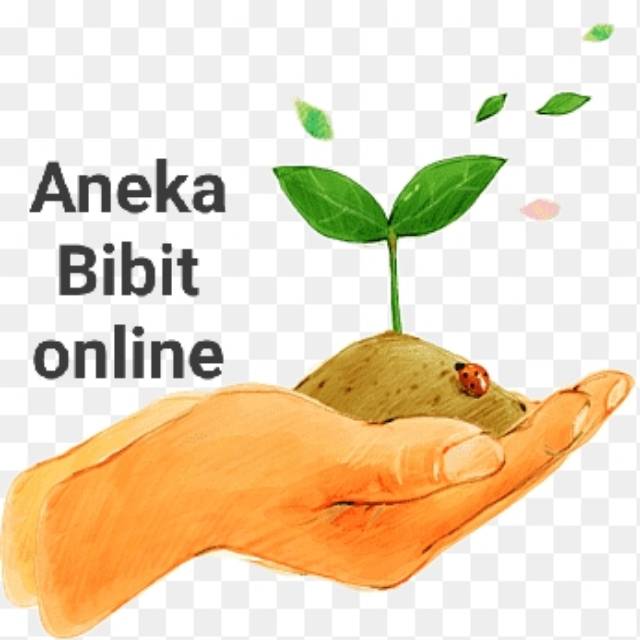 aneka_bibit_online