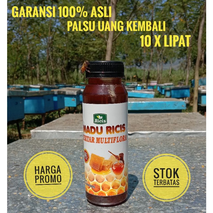 [[350 gram]] MADU ASLI MULTIFLORA MADU ASLI MURNI madu peras asli dominan nektar pohon akasia liar