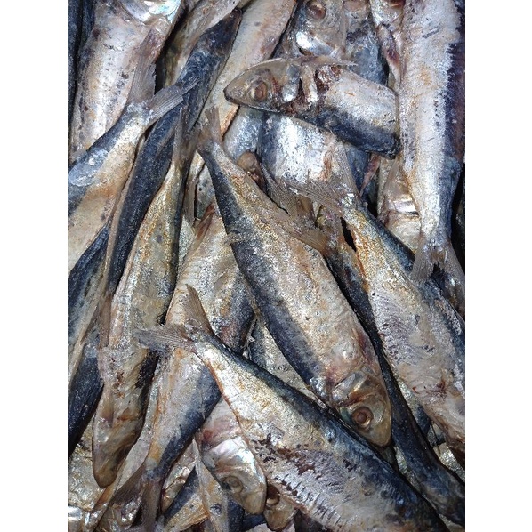 

ikan asinjapuh gunilcianjur 500gram