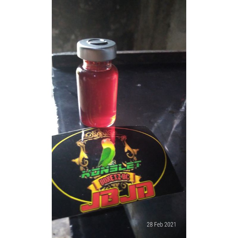 KUSUS LOMBA 1 KALI TETES LANGSUNG REAKSI GACOT konslet aa BONEX