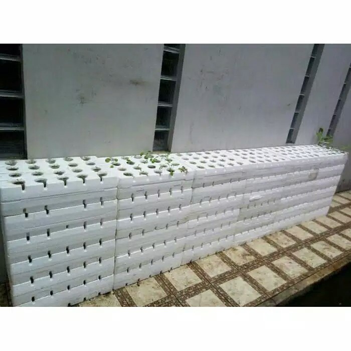 alat pembolong styrofoam diameter 2cm untuk hidroponik