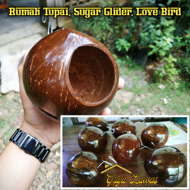 Glodok Rumah LOVE BIRD, TUPAI, SUGAR GLIDER, Pouch Batok Kelapa