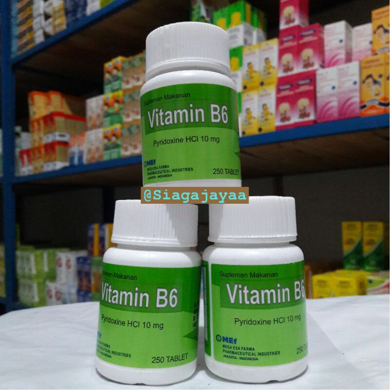 Jual Vitamin B6 10mg Pot 250 Tablet | Shopee Indonesia