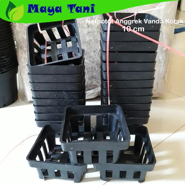 Pot Anggrek Vanda Kotak