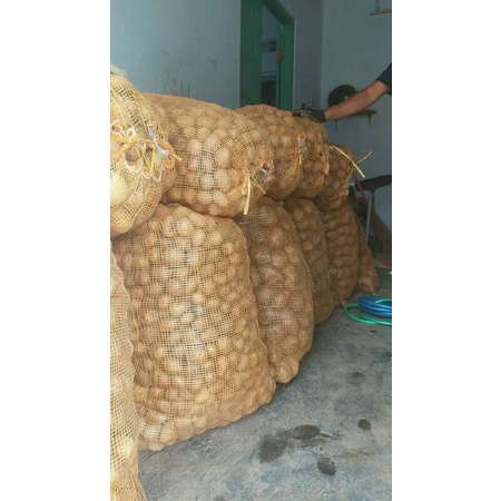 

kentang grosir-grosir murah 5 kg