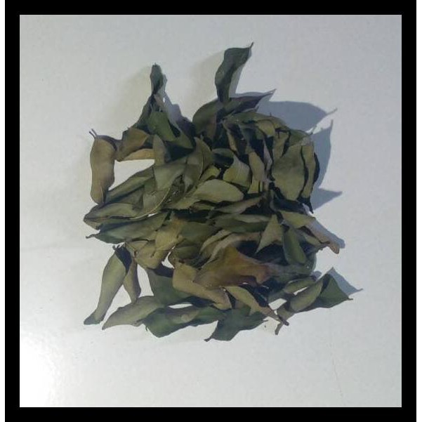 

GRATIS ! Daun Kari Salam Koja Temurui Segar atau Kering Wild Curry Leaves