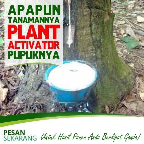 Pupuk Tanaman Karet Plant Activator Shopee Indonesia