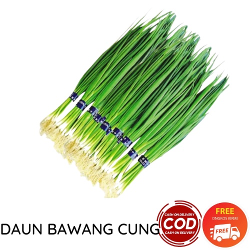 DAUN BAWANG CUNG