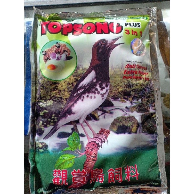 TOP SONG HIJAU RUMPUT LAUT/HIJAU