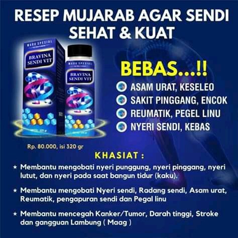 

bravina sendi vit
