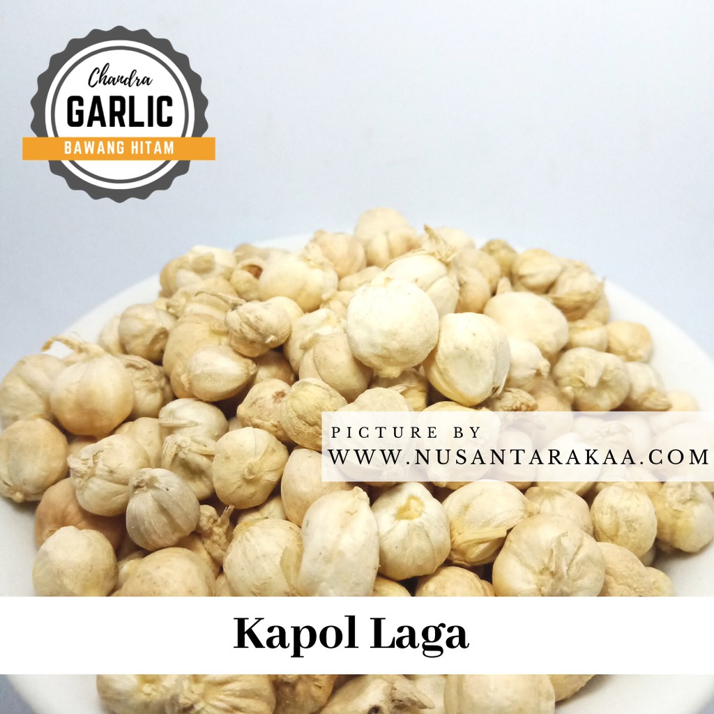 

Best Seller! Kapol Laga 1 kg
