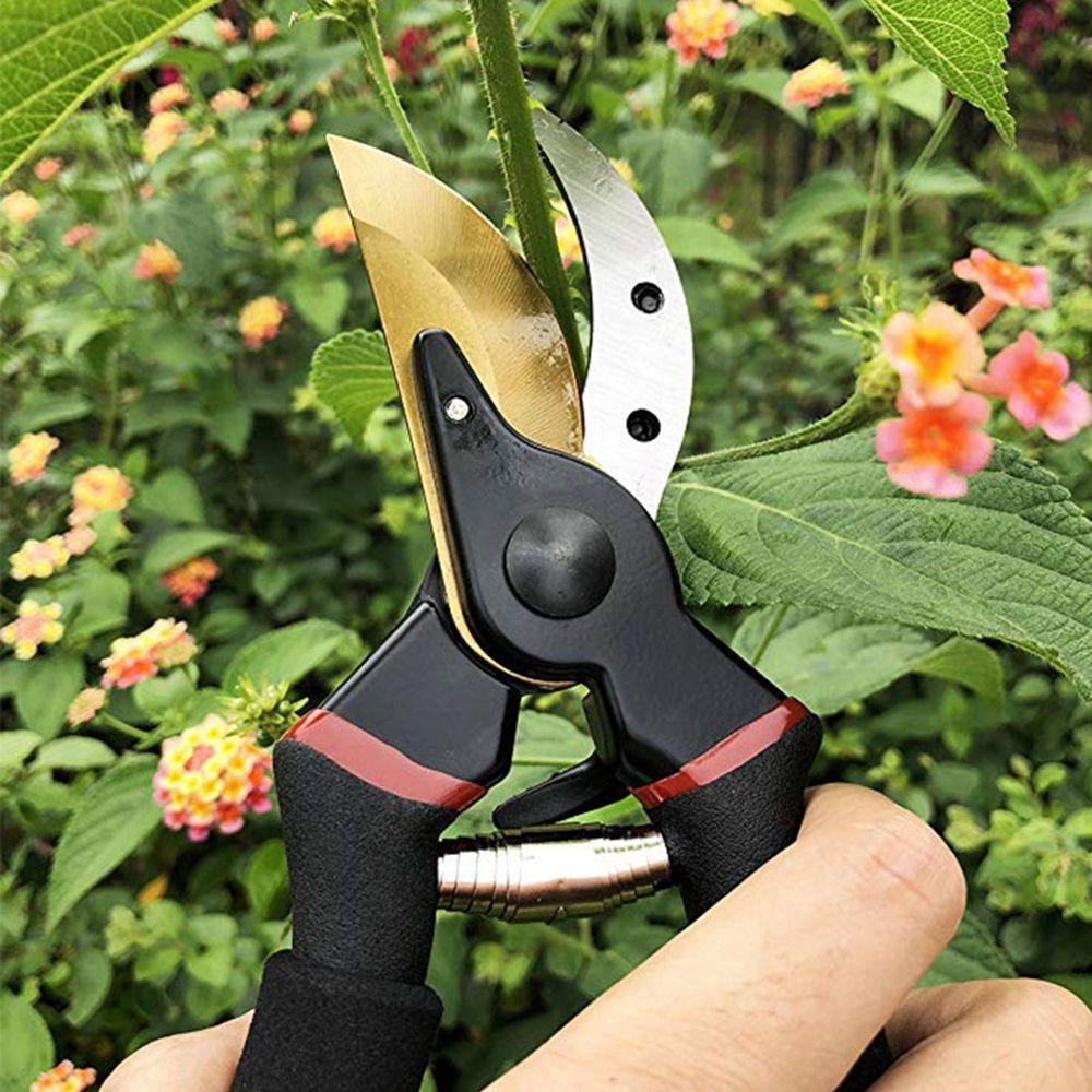 [Elegan] Garden Pruner Ergonomis Lurus Geser Stainless Steel Perlengkapan Taman Hemat Tenaga Kerja Grafting Tools