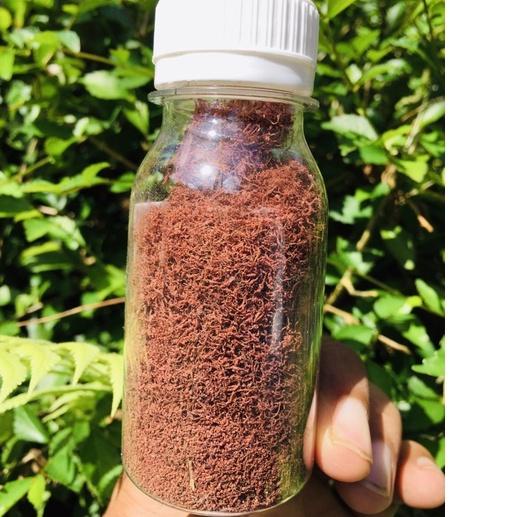 ⛄ Cacing kering cacing sutra kering casut kering pakan ikan cupang pakan ikan kecil pakan burayak re