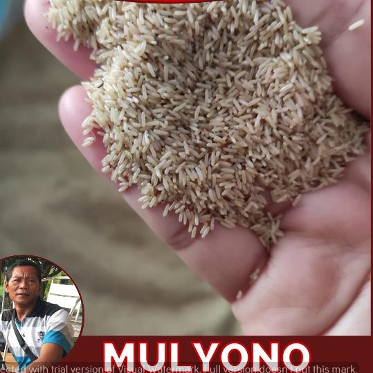 Serbuuuu.. jual telur jangkrik Kalung kemasan 100 gram kualitas super