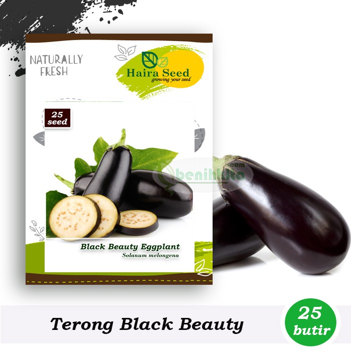 Benih-Bibit Terong Black Beauty (Haira Seed)