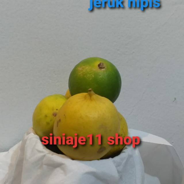 

Jeruk nipis