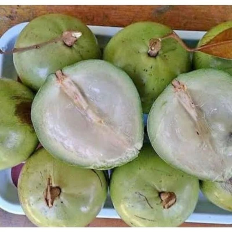 

buah manecu 1kg