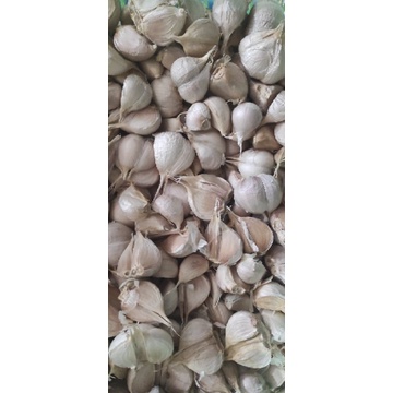 

Bawang Putih Kating 500 gram