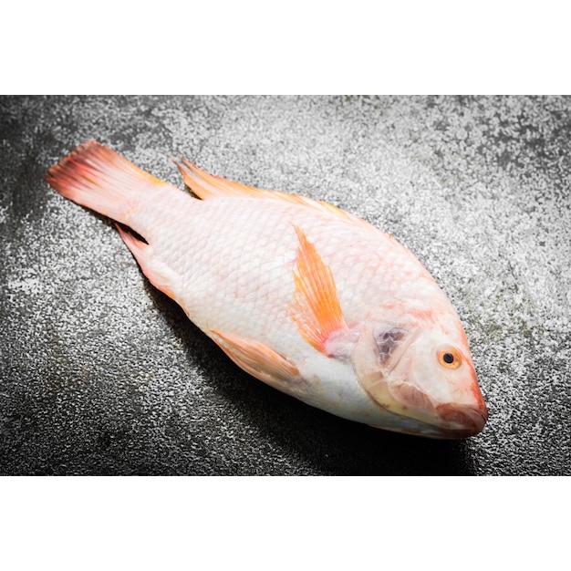 

Ikan nila segar/murah/produk premium
