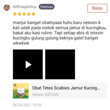 Obat Scabies Kucing Kelinci Anjing Guinea pig Hair Loss Sugar Glider ANTISCAB