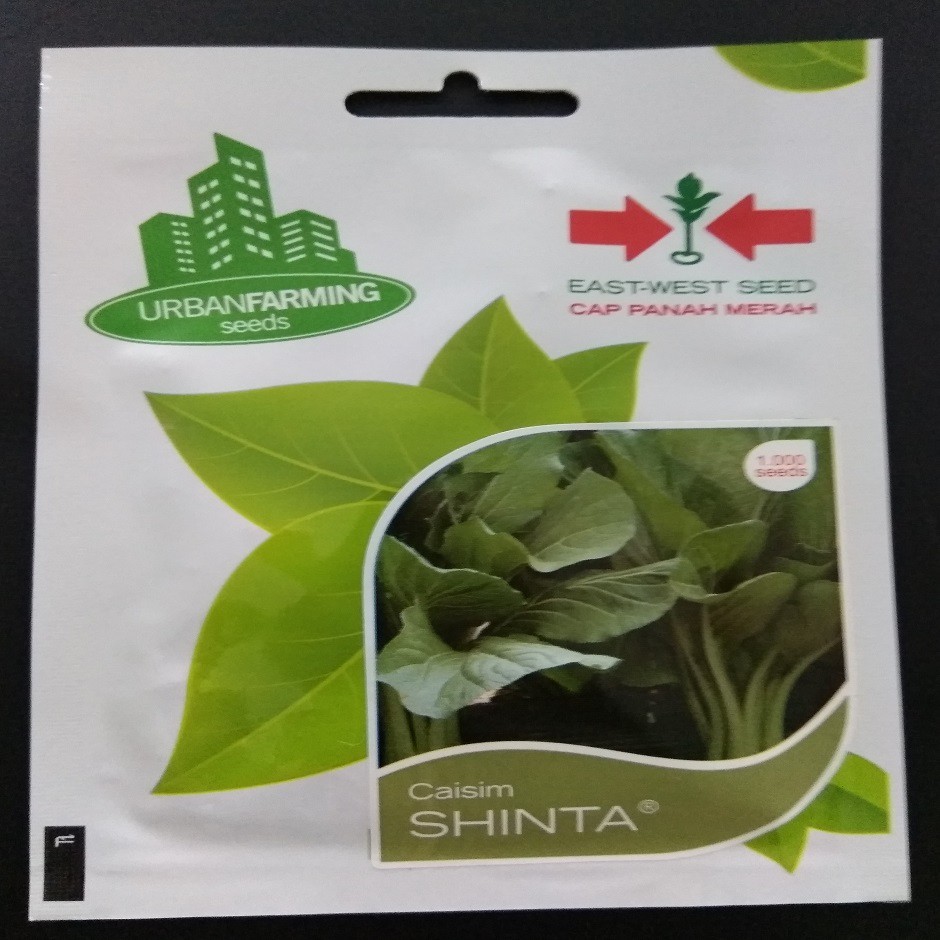 

Caisim Shinta